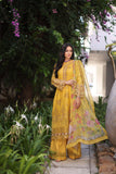 Saadia Asad D8-B Mustard Laser Noor Luxury Chikankari Lawn 2024