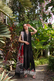 Saadia Asad D6-A Black Laser And Schifli Noor Luxury Chikankari Lawn 2024