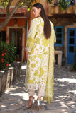 Charizma CRS4-12 Reem-Vol-02 2024