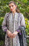 Asifa N Nabeel Ashy WL-06 Luxury Winter Collection 2024