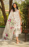 Asifa N Nabeel Aster 7 Meraki Summer Lawn Vol 1 2024