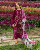 Mushq Aurora Petals Online Shopping
