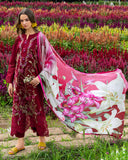 Mushq Aurora Petals Online Shopping