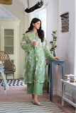 Sobia Nazir SN Basics 2PC Design 3B SN Basics 2PC 2024