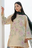 Zara Shahjahan Bloom-1B Coco Lawn
 2025