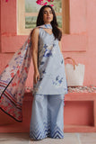 Zara Shahjahan Blueberry-D4 COCO Prints Volume II 2024