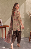 Asifa N Nabeel Mocca (CU26-04) Cambric Printed Collection 2026