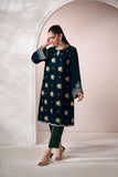 Dhanak FW24DA-1895 Dark Green Velvet Drop I 2024