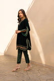 Dhanak FW24DA-2609 Dark Green Velvet Drop I 2024