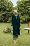Dhanak FW25DA-2809 Bottle Green Velvet Muse Pret 2025