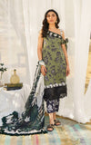 Asifa N Nabeel Darcy 5 Meraki Summer Lawn Vol 1 2024