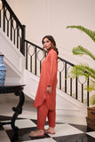 Dhanak DC-2258 Rust Winter Solids Co-ords 2024