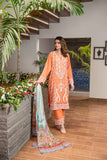 Addee Zamari SM-011  Dayaar-e-Khuwaab 2024