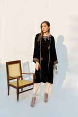 Lakhany LG-IZ-0251 Velvet RTW 2024