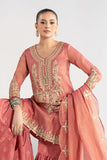 Maria B DWW2501-ESM-PNK Winter Luxury Pret 2025