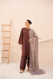 Mohagni DZP-54 Dhanak Collection 2025