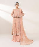 Sapphire 3 Piece - Embroidered Net Suit F3SFLX25V328 Eid 1 RTW 2025