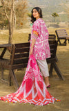 Asifa N Nabeel Fia 6 Meraki Summer Lawn Vol 1 2024