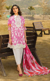 Asifa N Nabeel Fia 6 Meraki Summer Lawn Vol 1 2024