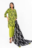 Alkaram Studio FN-11-24-Green Turkish Capsule 2024
