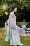 Dhanak FW25DA-2871 L-Green Velvet Drop 2 2025