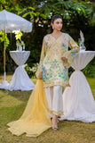 Dhanak FW25DA-2867 Yellow Velvet Drop 2 2025