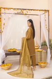 Zainab Fazlani Aarzoo Georgia Lawn 2024