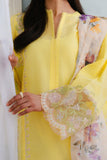 Zara Shahjahan Meadow-8A Coco Lawn
 2025