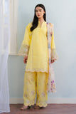 Zara Shahjahan Meadow-8A Coco Lawn
 2025