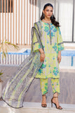 Charizma CPM-4-051 Print Melody RTW 2024