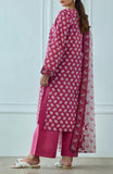 Orient OTL-25-566/U MAROON Winter Dresses 2025