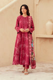 Iznik Iona Autumn Refresh 2025