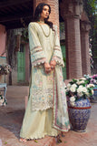 Motifz 4427 Zaib Premium Lawn 2024