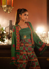 Alkaram FW-11-1-24-Green  Winter Collection 2024