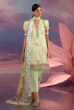 Gul Ahmed CBN-62036 The Golden Season 2026