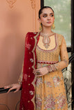 Roheenaz Aylin Naira Chiffon 2024