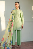 Zara Shahjahan Tina-3B Coco Lawn
 2025