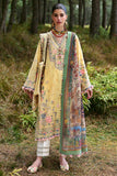 Zaha  Zuri (ZL25-12 A) Neelam Lawn 2025