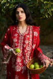 Zaha Dilara (ZW24-02) Winter Collection 2024