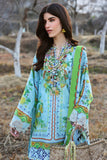 Zaha  Dahlia (ZL25-04 B) Neelam Lawn 2025
