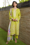 Zellbury Embroidered Shirt Shalwar Dupatta - 0081 Chikankari Cambric Collection 2026