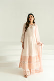 Agha Noor Zade Bridal Collection 2024