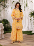 Mohagni ZC-10 Aabroo Collection 2026