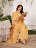 Mohagni ZC-10 Aabroo Collection 2026
