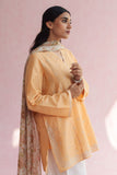 Zara Shahjahan ZKT-1357 Basic Prets 2024
