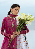 AIK Atelier Raqs Look 09 Lawn Vol 1 2025