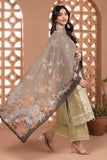 Khaadi Cambric | Embroidered | Fabrics 3 Piece BCA240402 Beige Signature Collection 2024