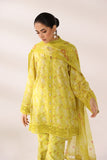 Bareeze Printed PR1612 Green Monsson Summer Lawn 2024