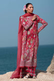 Afrozeh Pink Ruby Summer Together Lawn 2025