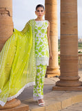 Zainab Chottani Champa 8A Luxury Lawn Collection